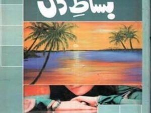 Amna Riaz Urdu Novel - Bisat E Dil